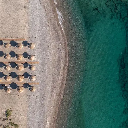 Hotel Theros - Adults Only Kos
