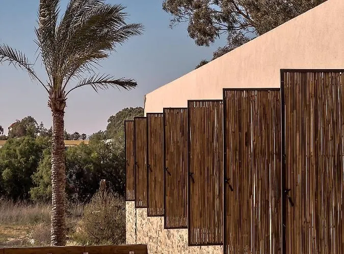 Theros - Adults Only 科斯镇