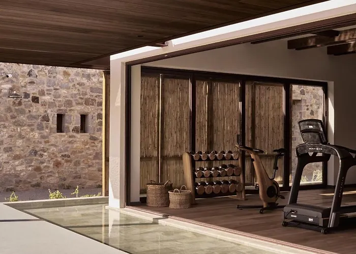 Theros - Adults Only Кос